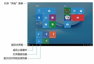 华为平板电脑的word怎么用(华为平板电脑Word应用操作指南)