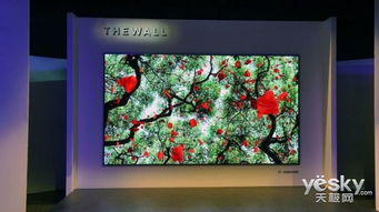 汽车电视改显示器多少钱(汽车电视改显示器，价格及更多细节探讨)