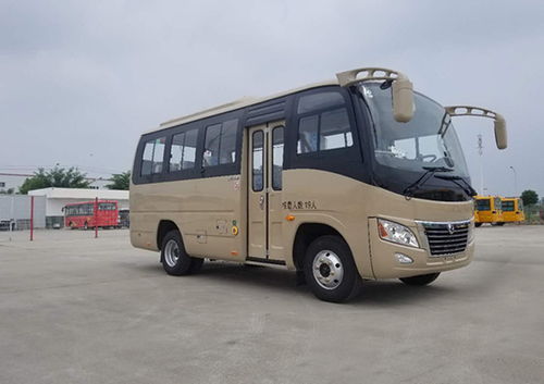 汽车中型客车十座多少钱(汽车中型客车十座的价格解析)