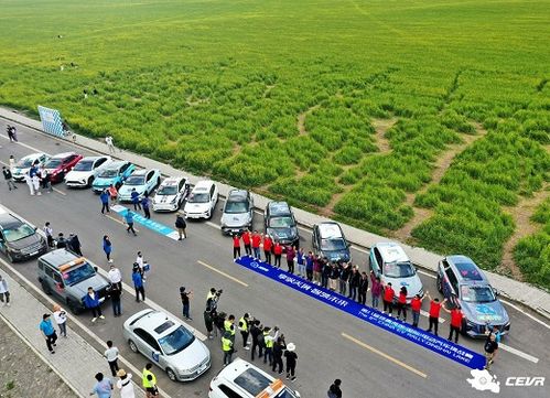 云岗有多少公里长途汽车(探寻云岗，距离与长途汽车的旅程)