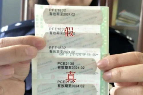 砀山到永城汽车票多少钱(砀山到永城汽车票价详解，多少钱一张票？