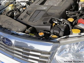 冬天汽车加防冻液多少钱(冬天汽车加防冻液的价钱及重要性)