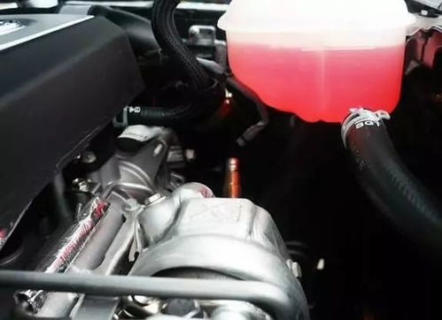 冬天汽车加防冻液多少钱(冬天汽车加防冻液的价钱及重要性)