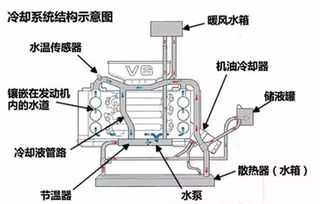 汽车冷却水加多少标准号(汽车冷却水加多少标准号，探究汽车冷却系统的合理加水量)