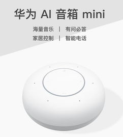 华为音箱mini怎么连接电脑(华为音箱MINI连接电脑，详细步骤与操作指南)