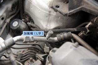 汽车空调震动加氟多少钱(汽车空调震动加氟费用解析) 汽车空调震动加氟多少钱(汽车空调震动加氟费用解析)
