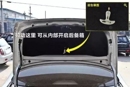 汽车后备箱换喇叭多少钱(汽车后备箱换喇叭的费用解析)
