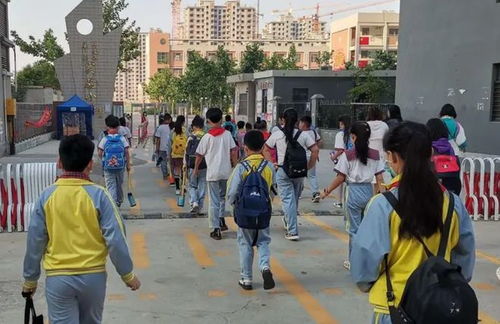 高考考场现醉酒女考生？当地回应(高考考场现醉酒女考生，当地回应，严肃处理，确保考试公正)