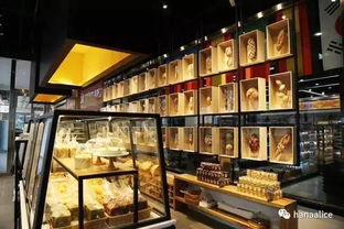 百万粉丝博主回村开面包店(百万粉丝博主回乡开面包店，追梦与传承的完美结合)