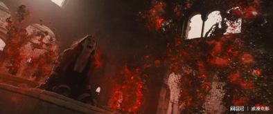 女巫的毒药全毒版(女巫的毒药全毒版，神秘与力量的交织)