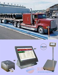 广东高精度汽车衡多少钱(广东高精度汽车衡价格解析)
