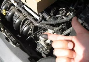 汽车首保后换油管多少钱(汽车首保后换油管费用解析)