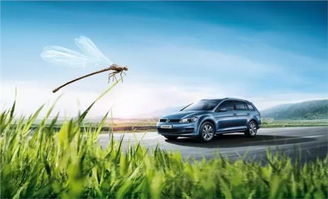 中国开汽车到日本多少钱(中国开汽车到日本，费用分析与旅行准备)