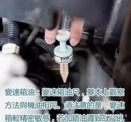 汽车可以加多少刹车油啊(汽车刹车油添加量详解，多少刹车油才合适？