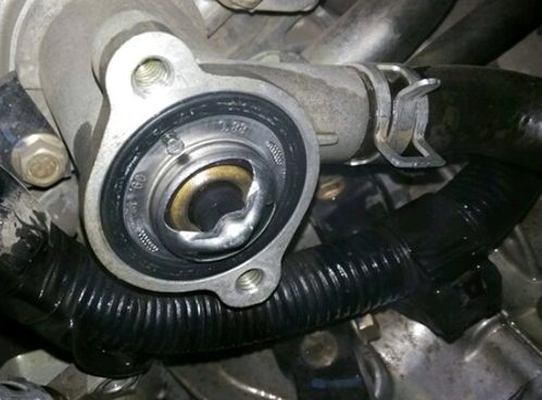 汽车换水箱节温器多少钱(汽车换水箱节温器费用解析)