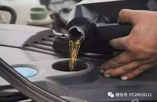 汽车机油一个加号多少钱(汽车机油一个加号究竟多少钱？全面解析机油价格因素)