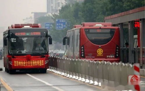 公交车比汽车快多少倍(公交车速度与汽车速度的比较，究竟快多少倍？