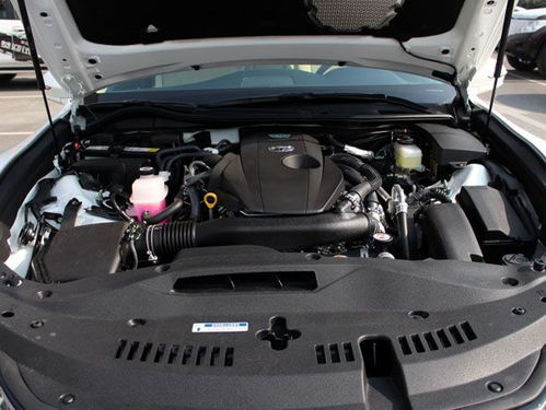 汽车水箱盖多少钱一台(汽车水箱盖价格解析，多少钱一台？