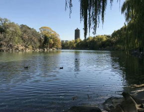 99元!商家售卖北大未名湖湖水(惊爆！商家售卖北大未名湖湖水，仅需99元！