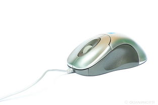 华为电脑鼠标变绿怎么办(华为电脑鼠标变绿怎么办?全面解析与解决方案) 华为电脑鼠标变绿怎么办(华为电脑鼠标变绿怎么办?全面解析与解决方案)