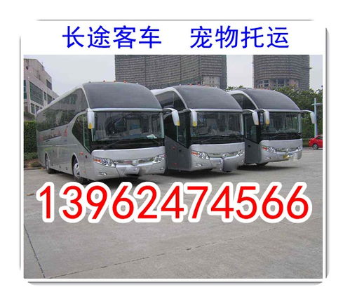 铜陵到灵璧县汽车票多少(铜陵到灵璧县汽车票价详解)