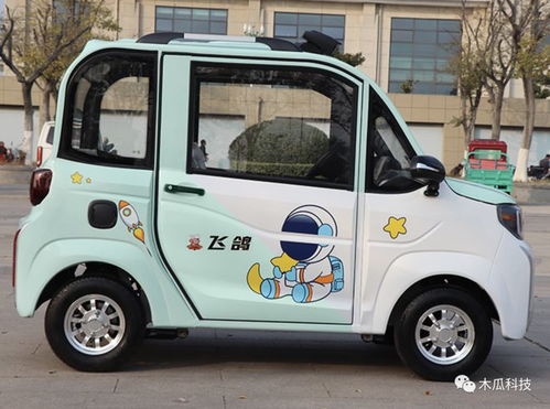 4岁男童电动汽车多少钱(四岁男童的电动汽车，价格与选择)