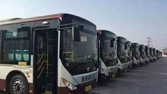 平度到新密汽车票多少钱(平度到新密汽车票价详解，费用、路线与旅行准备)