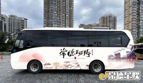 平度到新密汽车票多少钱(平度到新密汽车票价详解，费用、路线与旅行准备)