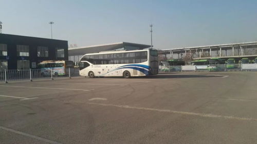 东营汽车站至机场多少钱(东营汽车站至机场的交通费用详解)