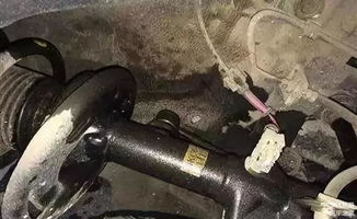 汽车减震器充油多少钱(汽车减震器充油费用详解)
