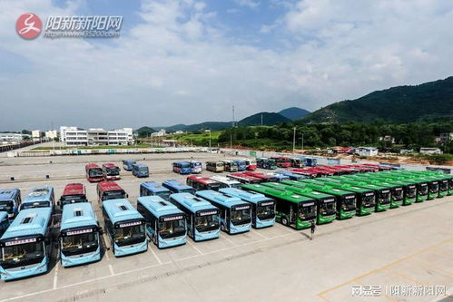 鄱阳县到泉州多少钱汽车(鄱阳县至泉州汽车票价详解)