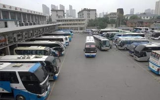 濮阳到齐河汽车站多少钱(濮阳到齐河汽车站的价格及旅行指南)