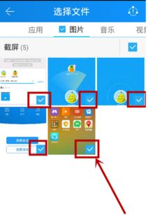 苹果相片怎么传输到华为电脑(如何将苹果相片传输到华为电脑，步骤详解)