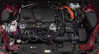 混动汽车电池能放多少年(混动汽车电池寿命，多年可靠性解析)