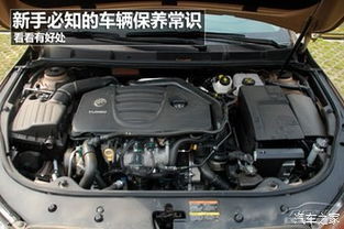 汽车保养器多少钱一个(汽车保养器价格解析,了解汽车保养器的价格及其重要性) 汽车保养器多少钱一个(汽车保养器价格解析,了解汽车保养器的价格及其重要性)