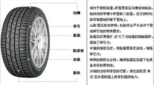 汽车轮胎多少度转向失灵(汽车轮胎转向失灵与温度关系的研究)