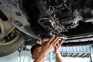 汽车移植变速箱多少钱啊(汽车移植变速箱的费用分析)