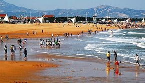 青岛汽车三日游多少钱(青岛汽车三日游，探索海滨城市的魅力与价格)