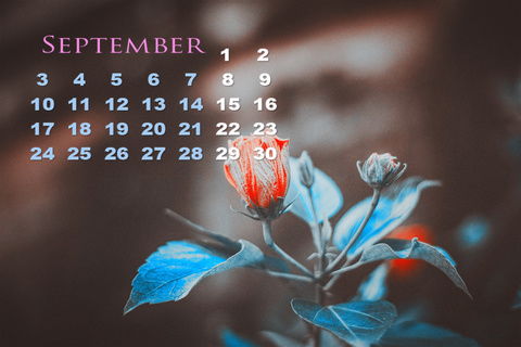 华为电脑桌面怎么加日历(华为电脑桌面日历添加指南) 华为电脑桌面怎么加日历(华为电脑桌面日历添加指南)