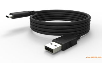 山东汽车数据线多少钱(山东汽车数据线价格解析，多少钱？