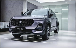 猎豹汽车能值多少钱的车(猎豹汽车的价值评估，一辆价值几何的座驾)