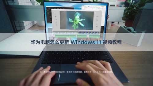 华为电脑贴图怎么用不了(华为电脑贴图无法使用的问题解析)