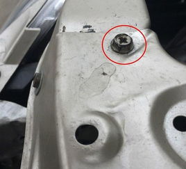 汽车叶子螺丝多少钱一斤(汽车叶子板螺丝价格解析，多少钱一斤？