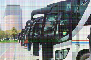 烟台到威海汽车票多少钱(烟台到威海汽车票价详解，费用、时间与行程体验)