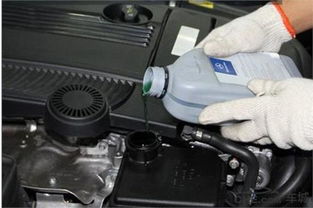 修理汽车玻璃水壶多少钱(汽车玻璃水壶修理费用解析，多少钱才是合理的？