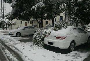 汽车行驶一般多少米正常(汽车行驶距离一般多少米正常，探讨汽车行驶里程的常识与影响因素)