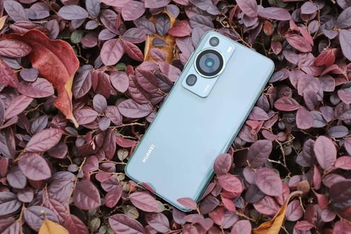 华为60pro怎么变成电脑(华为P60 Pro变身电脑，手机与电脑的融合之旅)