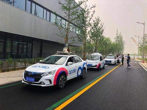 出租汽车公司有多少家店(出租汽车公司的门店数量及其分布研究)