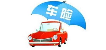 现在汽车保险要买多少年(汽车保险要买多少年，当下购车族的明智选择)
