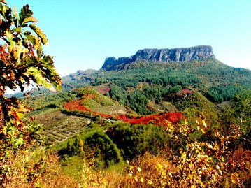 五女山到桓仁多少钱汽车(五女山到桓仁汽车票价详解，费用、时间与路线)